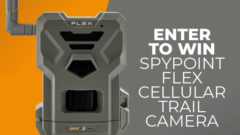 spypoint flex